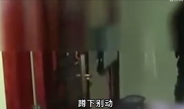 色淫视频,揭秘色情视频背后的黑暗世界